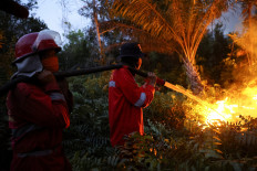 Fire fighters with the Forest and Land Fire Control Brigade spray water to extinguish a fire on Aug. 12 in an area close to an oil palm plantation affected by wildfire in Pulang Pisau regency in Central Kalimantan.