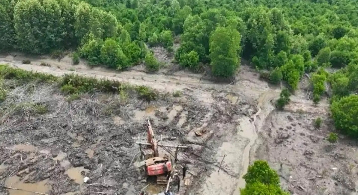 An excavator destroys a protected mangrove forest for conversion into palm oil plantations in Sungai Sembilan district in Dumai city, Riau, in this undated picture provided by Riau Police Special Crimes Investigation (Reskrimsus) Directorate. Detectives from Riau Police Reskrimsus Directorate have named a man as a suspect for converting 111,77 hectares of protected mangrove without permit.