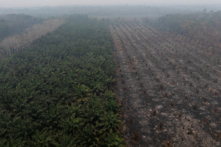 A partially burned oil palm plantation is blanketed by haze on Aug. 30 in Kuala Satong village, Ketapang regency, West Kalimantan.