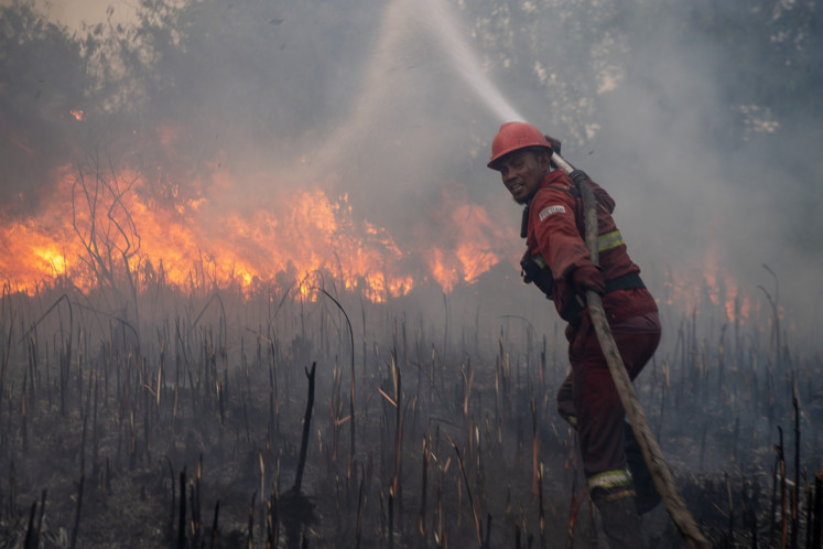 A Manggala Agni forest firefighter struggles to extinguish a forest and peatland fire on Saturday in Rambutan village, Ogan Ilir regency, South Sumatra.