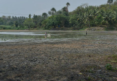 Residents fish at Lake Sibili, where water levels have receded in Palu, Central Sulawesi, on Thursday, Sept. 17, 2026. 