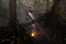 A staff member of the Regional Disaster Agency (BPBD) sprays water to extinguish a fire in a peatland area burnt by wildfires, in Kubu Raya, West Kalimantan province, Indonesia, September 15, 2026.
