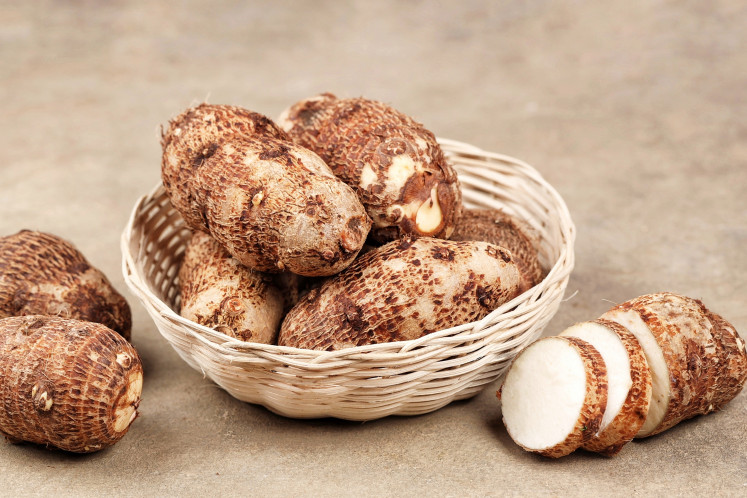 Humble tuber: Fresh cocoyam, known as 'kimpul' or Belitung taro in Indonesia, is seen in this photo. Long eaten as a local carbohydrate and rice alternative, 'kimpul' is low in fat and has a low glycemic index, while also containing dietary fiber, resistant starch, minerals, vitamin B3 and bioactive compounds.