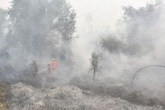 Firefighters extinguish forest and peatland fires on Monday in Banjar regency, South Kalimantan. Toxic haze has shrouded parts of Indonesia, Malaysia and Singapore for weeks as authorities struggles to contain fires that have scorched large tracts of Kalimantan and Sumatra, with the smoke drifting across the region.