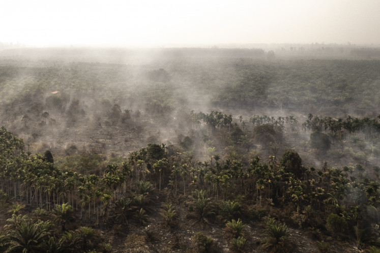 Smoke billows from burning oil palm and areca palm plantations on Aug. 25 in East Tanjung Jabung regency, Jambi.