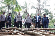 Riau Police chief Insp. Gen. Herry Heryawan (third right) listens to an explanation from Special Crimes Investigation (Reskrimsus) Directorate chief Sr. Comr. Ade Kuncoro (second right) on Wednesday at a mangrove charcoal production center on Rupat Island in Bengkalis regency, Riau. Detectives from the Reskrimsus Directorate thwarted on Sept. 14 an effort to smuggle mangrove charcoal from Rupat Island to Batu Pahat in Johor, Malaysia. 
