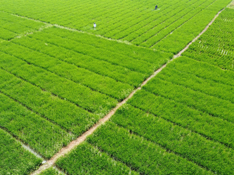An aerial view&nbsp;shows a farmer&nbsp;spraying crops on Oct. 2&nbsp;in a rice&nbsp;field in Sukakarya, Bekasi, West Java.