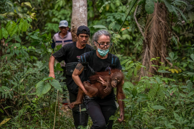 This handout picture taken on September 4, 2026 and released on September 10, 2026 by the Forestry Ministry and conservation group International Animal Rescue (IAR) Indonesia shows a rescue operation for orangutans caught up in wildfires in Pemangkat village in West Kalimantan.