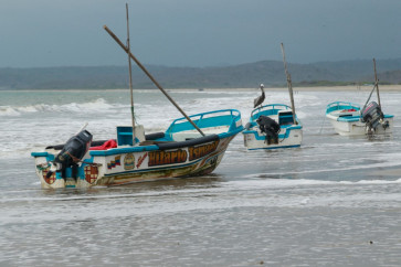 This view shows boats on the beach in the San Pedro commune in Santa Elena, Ecuador, on September 18, 2026. Small-scale fishermen in the eastern Pacific &ndash; from the shores of Ecuador and Peru to those of Panama and Guatemala &ndash; are suffering the impact of ocean warming caused by the El Ni&ntilde;o phenomenon, which forces several species to migrate to deeper waters and leaves nets half empty and coastal communities in crisis.
