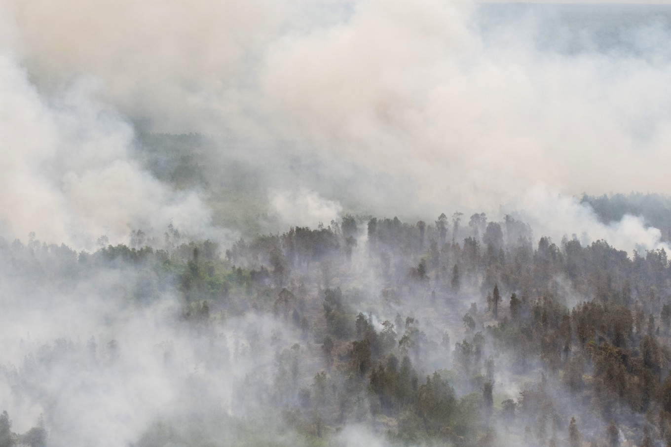 Smoke billows from a forest fire on Oct. 6in the Padang Sugihan Wildlife Reserve in Pangkalan Lampam, Ogan Komering Ilir regency, South Sumatra. Firefighters are continuing efforts to extinguish the blaze, which has been burning in the reserve since Aug. 26.