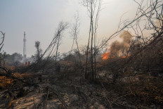 Flames reignite and burn through a scorched deep peatland area in Gambut district, Banjar regency, South Kalimantan, on October 8, 2026, as firefighters remain on high alert as subterranean peat fires continue to flare up amid unstable conditions during the dry season. Toxic haze has shrouded parts of Indonesia, Malaysia and Singapore for weeks as Jakarta struggles to contain fires that have scorched large tracts of Borneo and Sumatra, with the smoke drifting across the region.