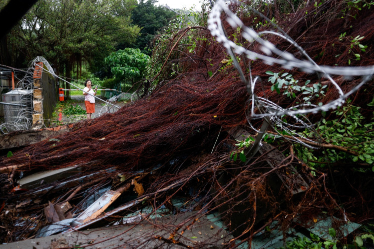 An uprooted tree after strong winds brought by Typhoon Champi in Taipei, Taiwan, on Oct. 24, 2026.