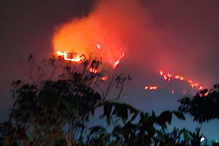 Fire razes the slope of Mount Sumbing in Wonosobo regency, Central Java, in this undated picture issued by Wonosobo Disaster Mitigation Agency (BPBD). Mount Sumbing has been on fire since Monday, affecting 306 hectares of land.